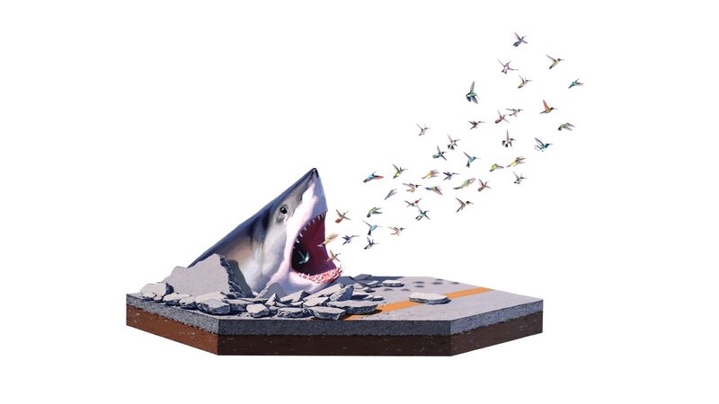 Shark Emerging from Road — Gray, Dramatic
