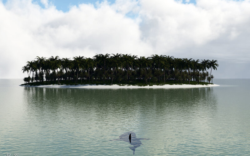 Shark Fin Near Island