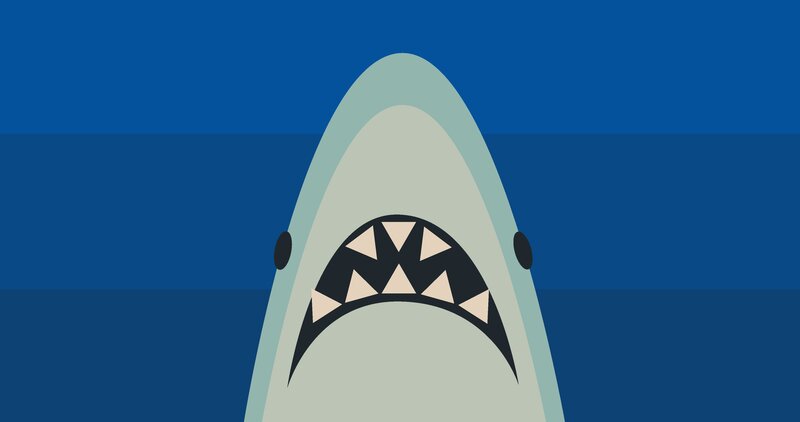 Shark Head in Water