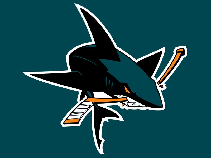 Shark Holding Hockey Stick