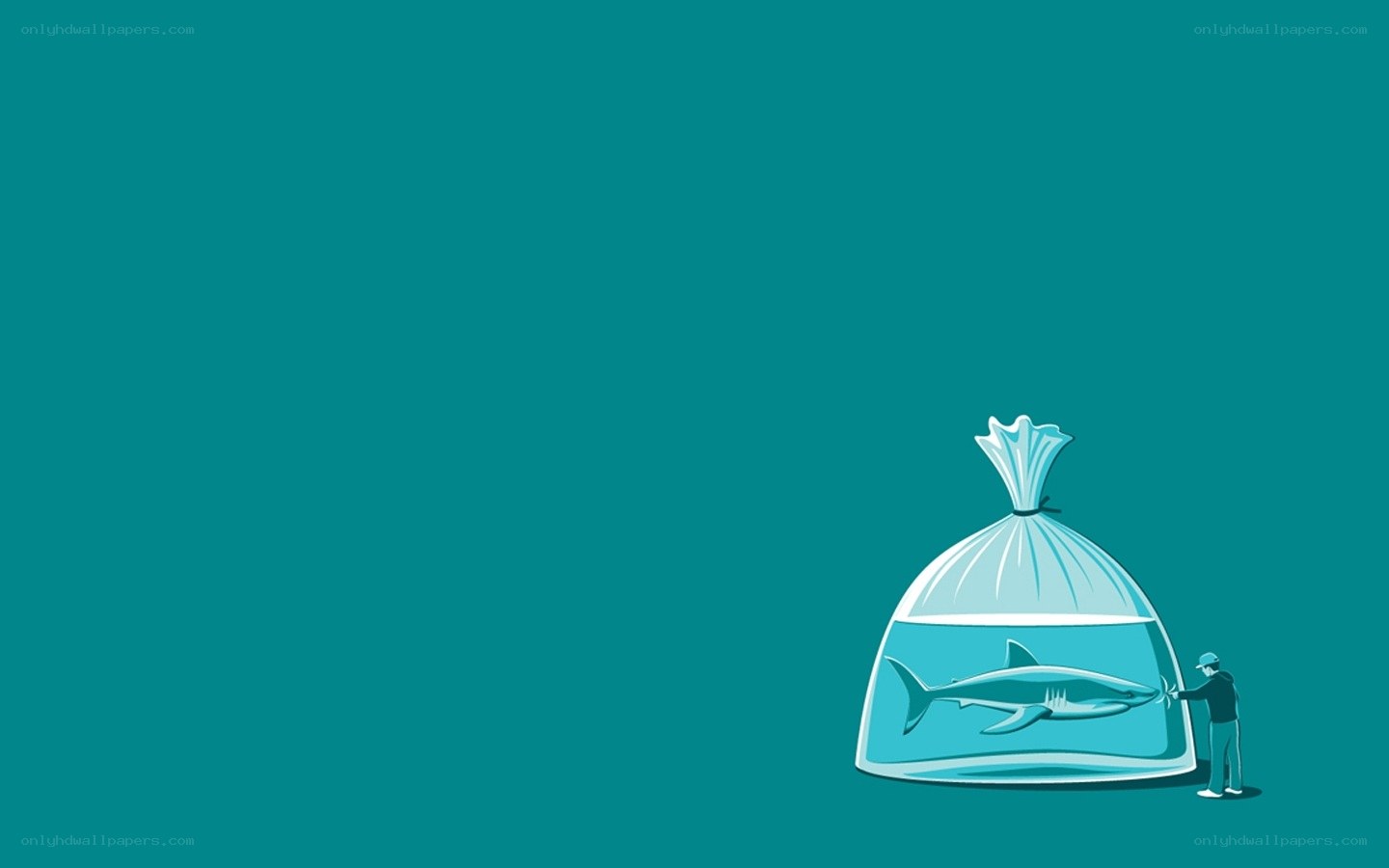 shark in a bag