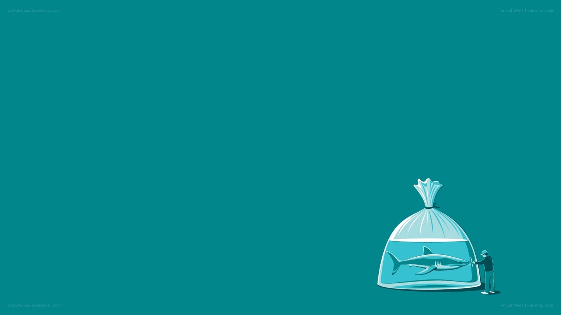 Shark in a bag