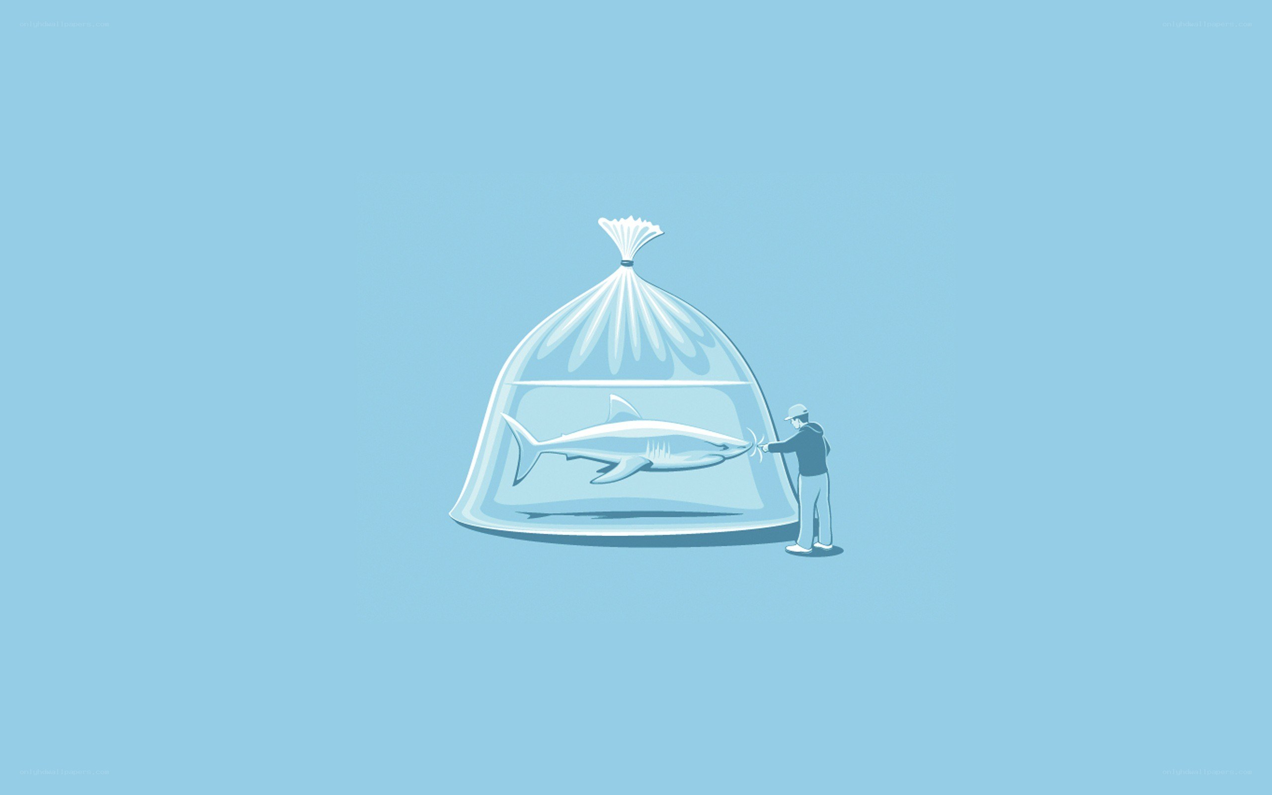 shark in a bag