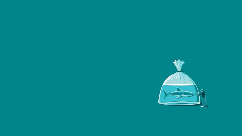 Shark in a Bag — Teal