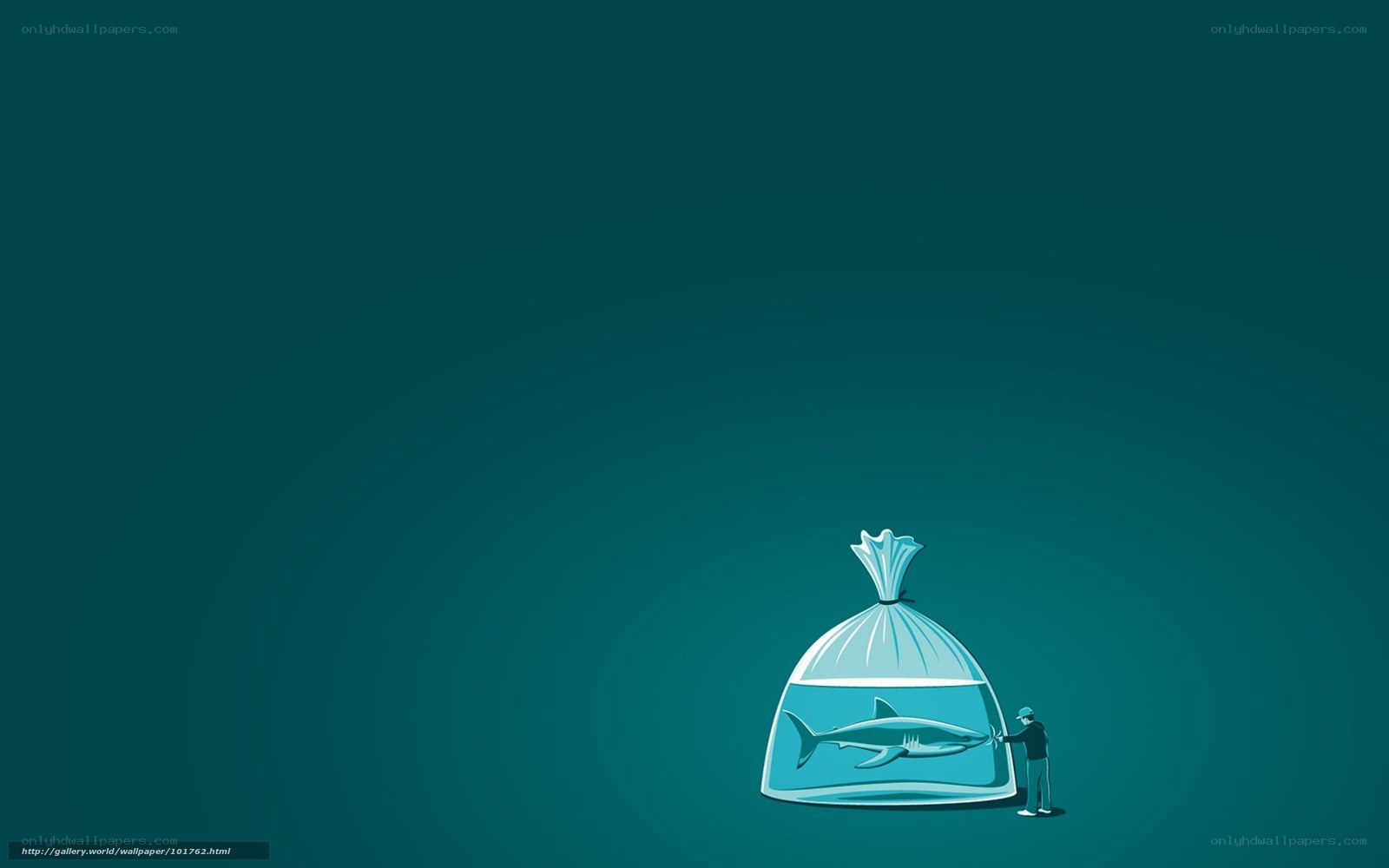 shark in a bag