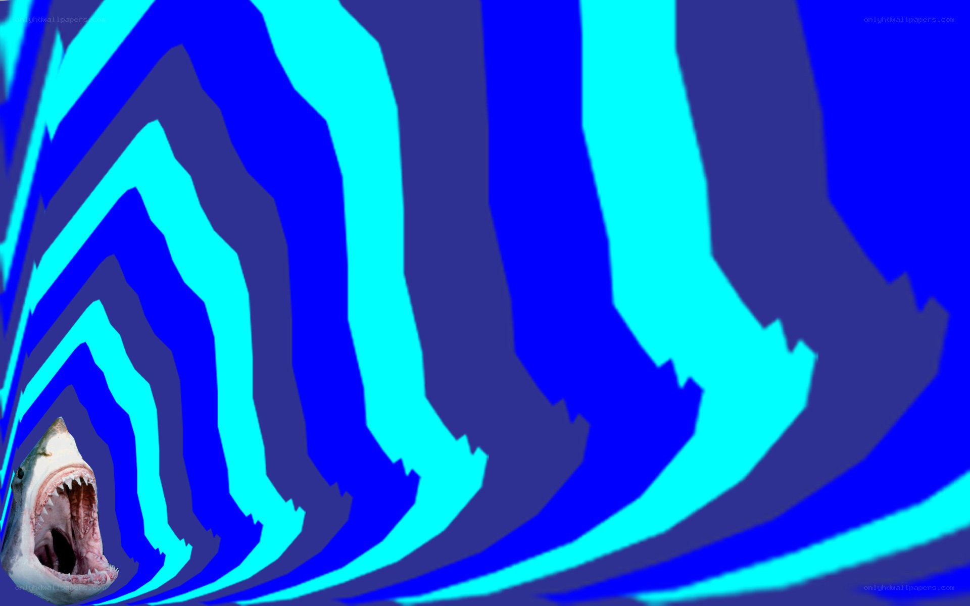 shark in a blue tunnel