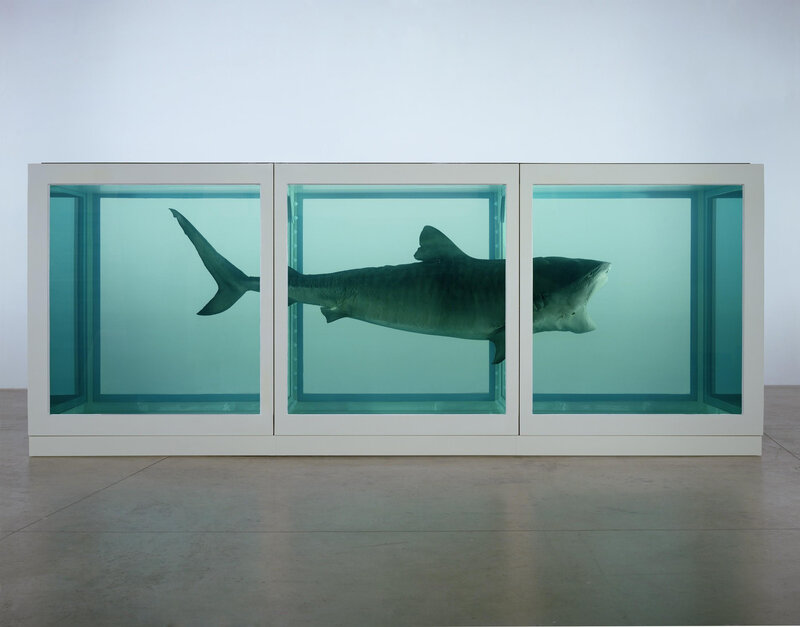 Shark in a tank sculpture