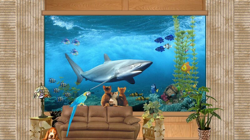 Shark in Aquarium Scene