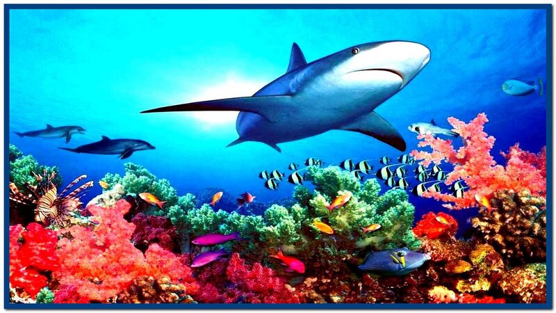Shark in Coral Reef — Blue, Vibrant