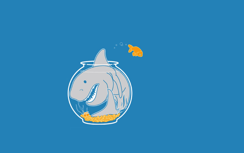 Shark in Fishbowl
