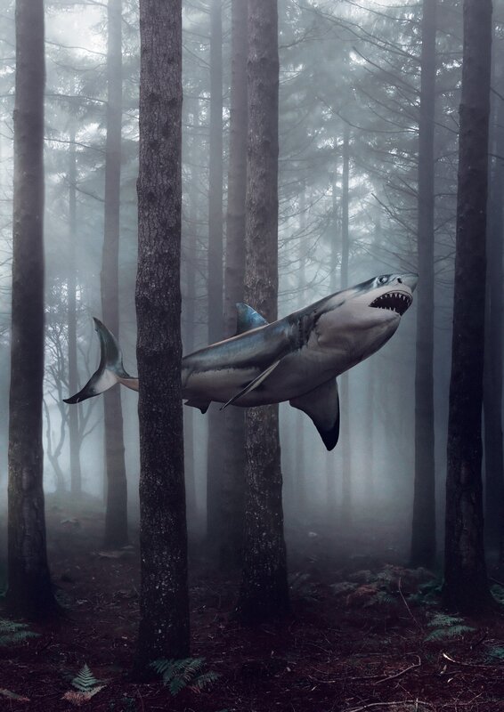 Shark in Forest — Gray