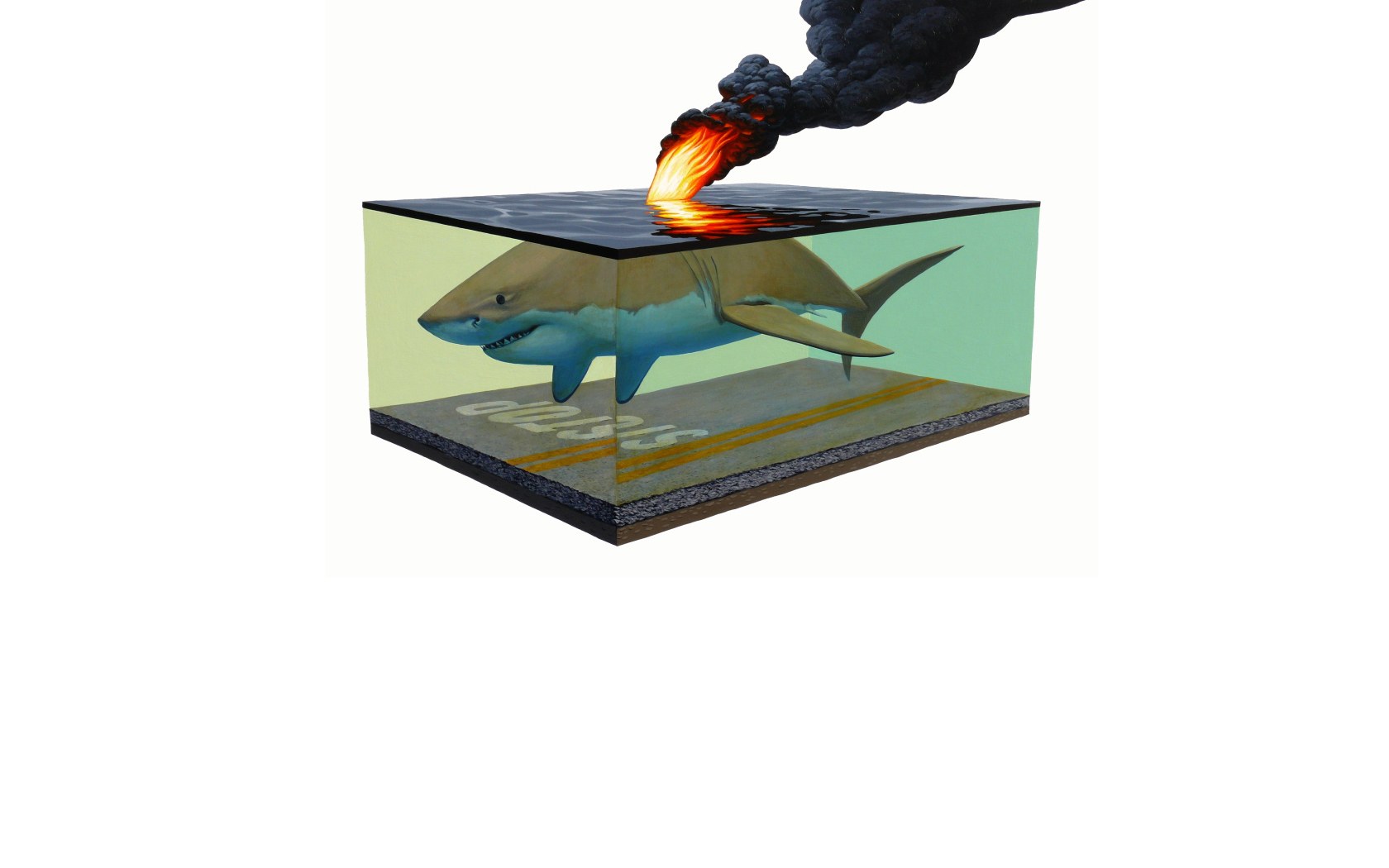 Shark in oil spill tank