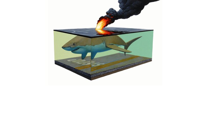 Shark in Oil Spill