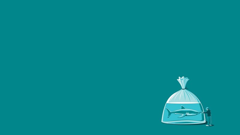 Shark in Plastic Bag — Teal, Serious