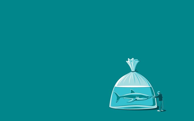 Shark in Plastic Bag