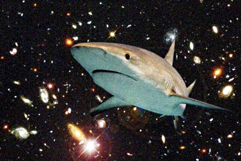 Shark in Space
