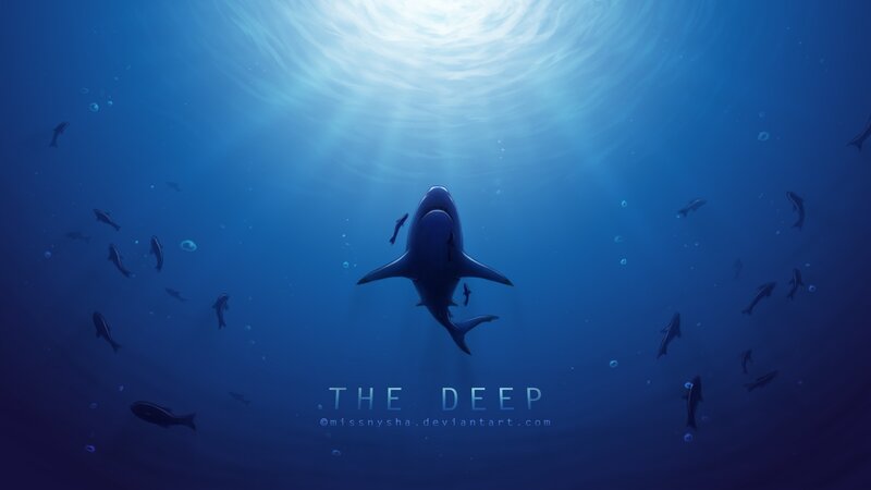 shark in the deep ocean