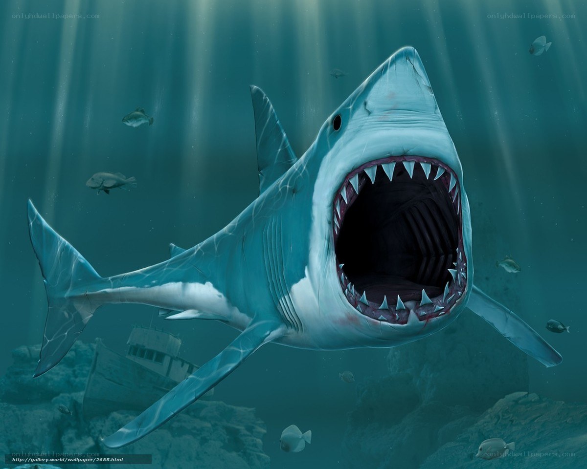 Shark in the deep sea