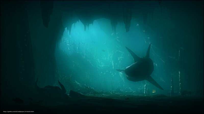 Shark in underwater cave