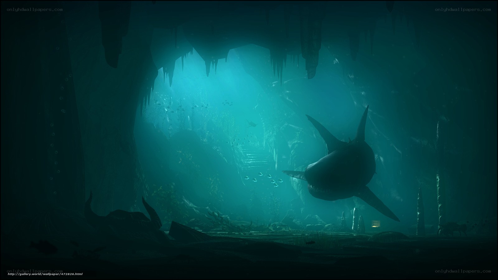 Shark in underwater cave