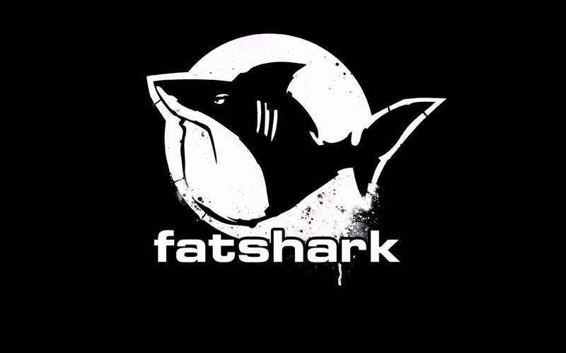 Shark Logo Design