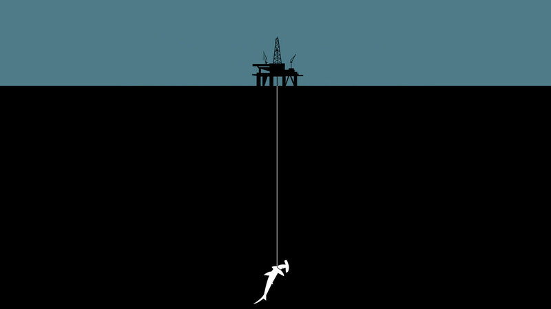 Shark on a fishing line