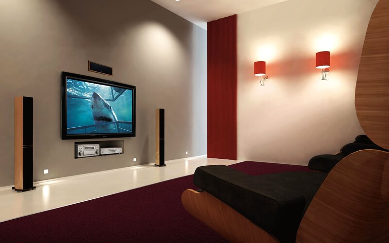 Shark on TV Screen
