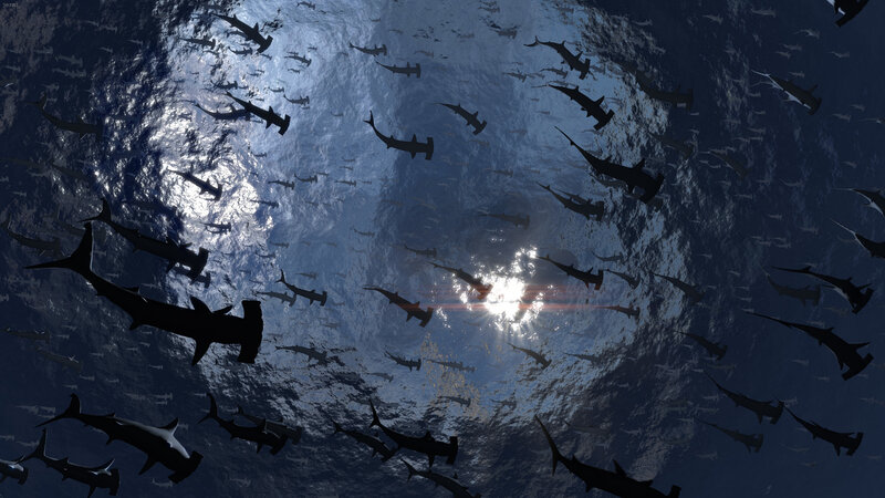 Shark school under sunlit water