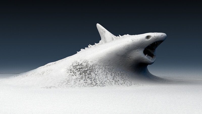 Shark Sculpture in Snow — White