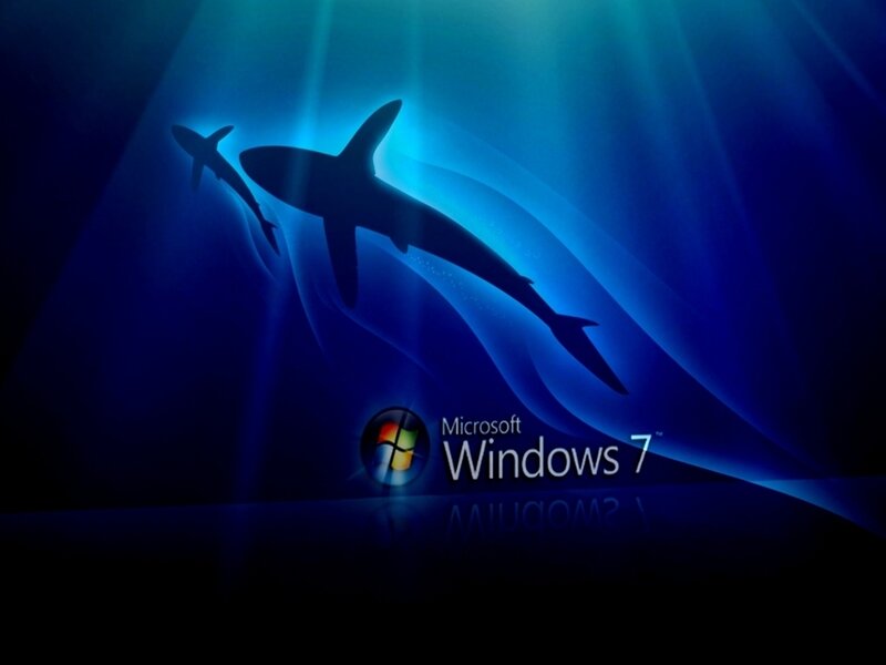 Shark Silhouettes in Water