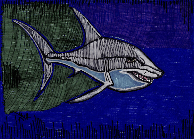 Shark Skeleton Illustration