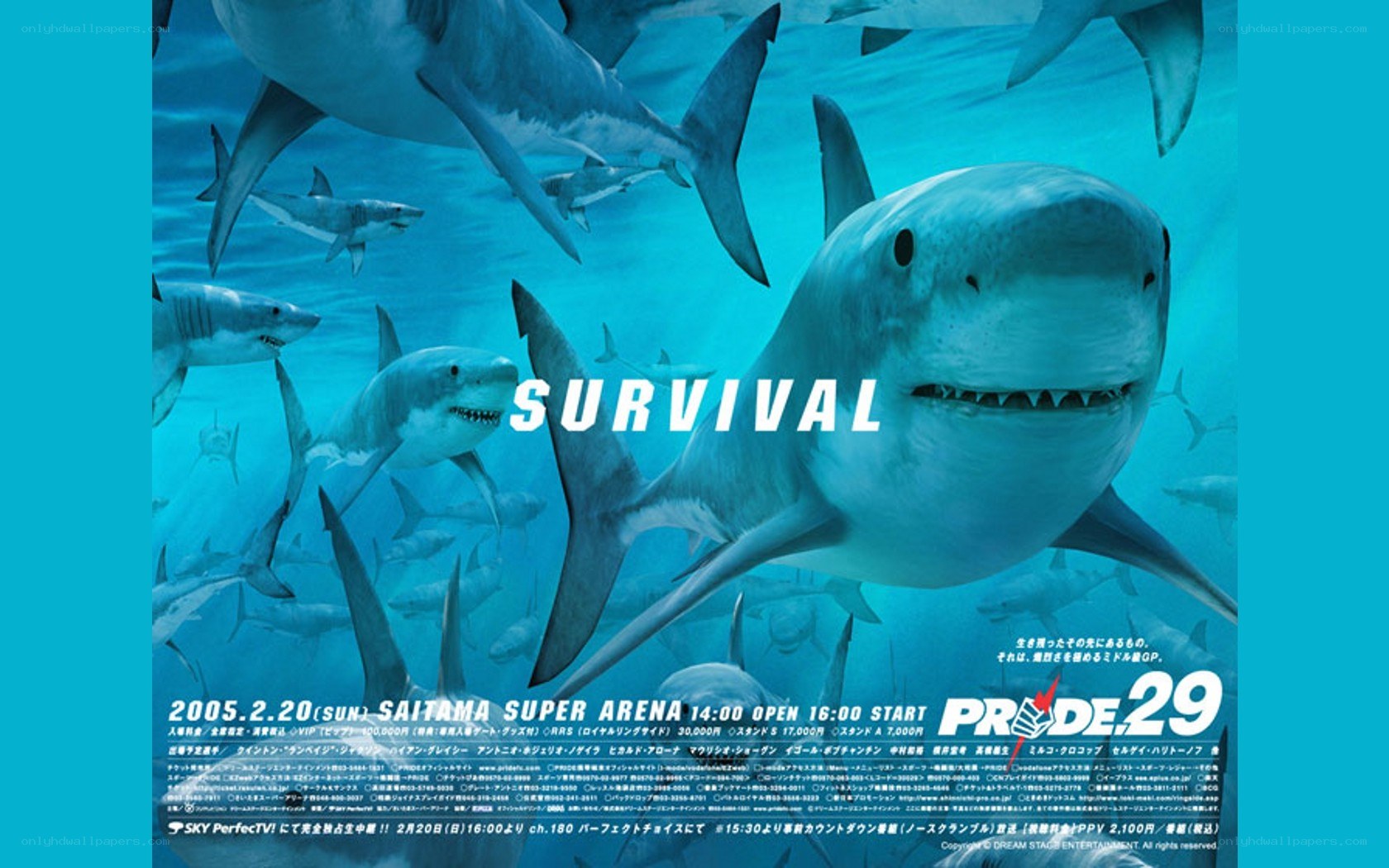 Shark survival event poster