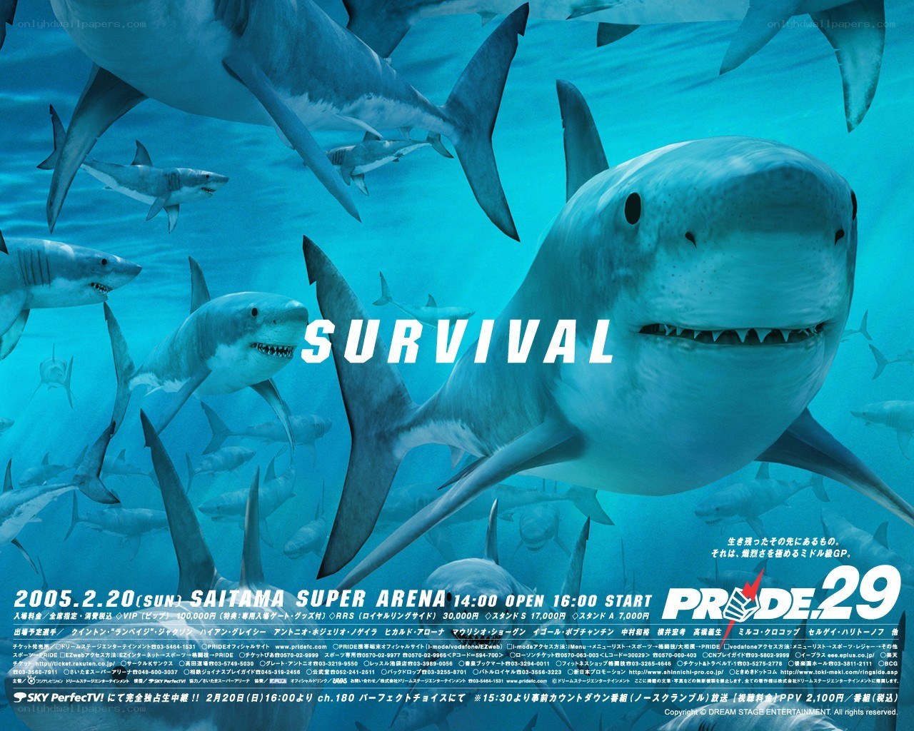 Shark survival event poster