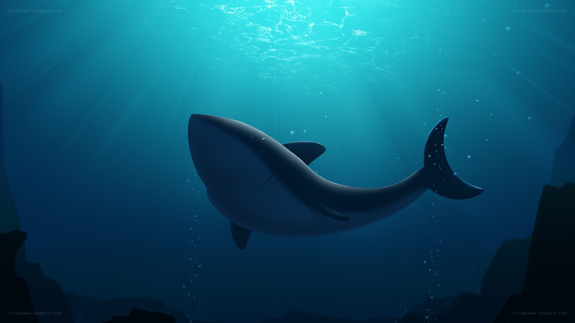 Shark swimming in deep water