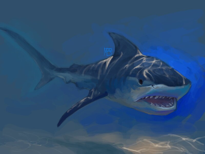 Shark Swimming Underwater — Blue, Dramatic, Digital Art, Open Mouth, Sharp Teeth