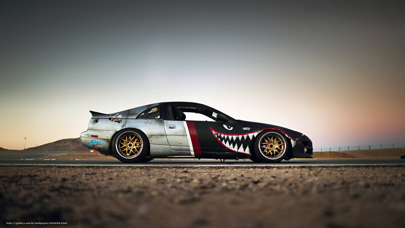 shark-themed race car