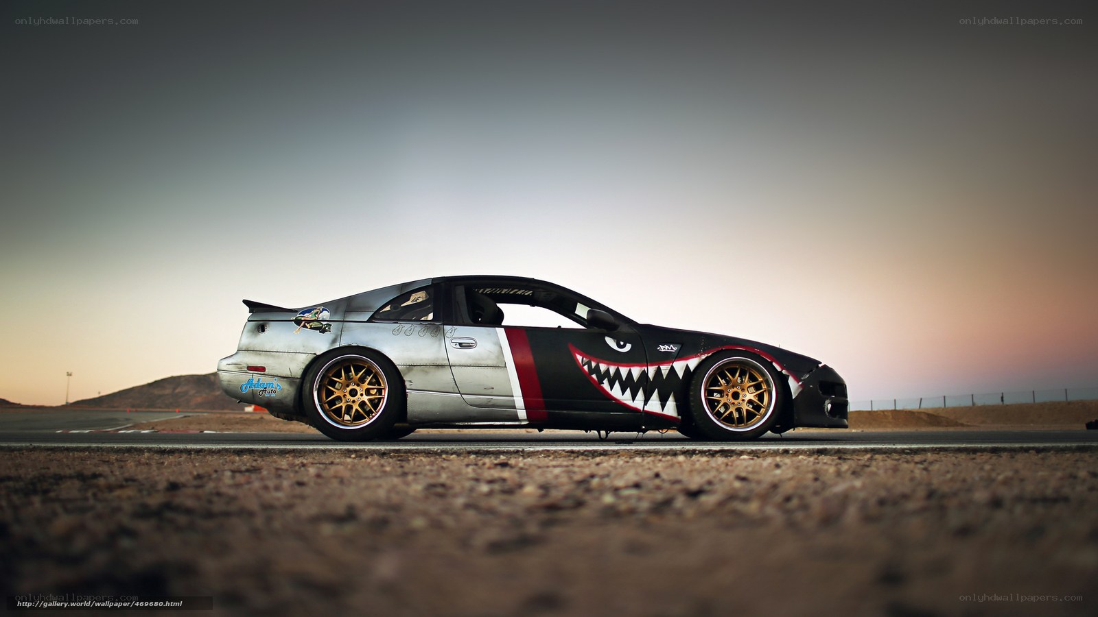 shark-themed race car