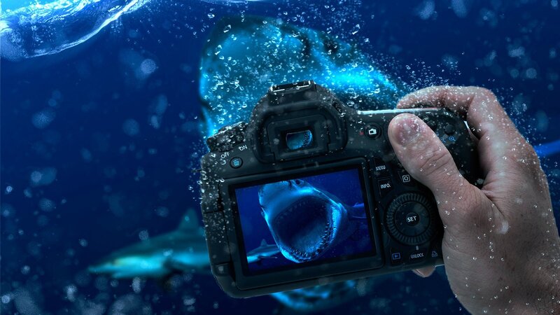 Shark Underwater — Blue, Dramatic