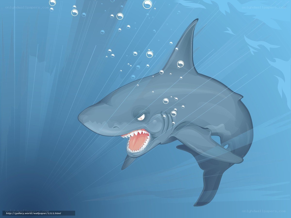 Shark underwater illustration