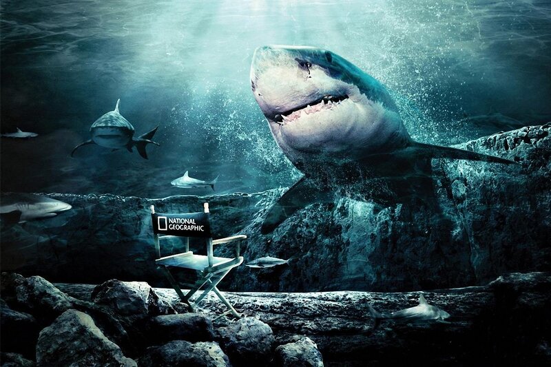 Shark underwater scene with director's chair