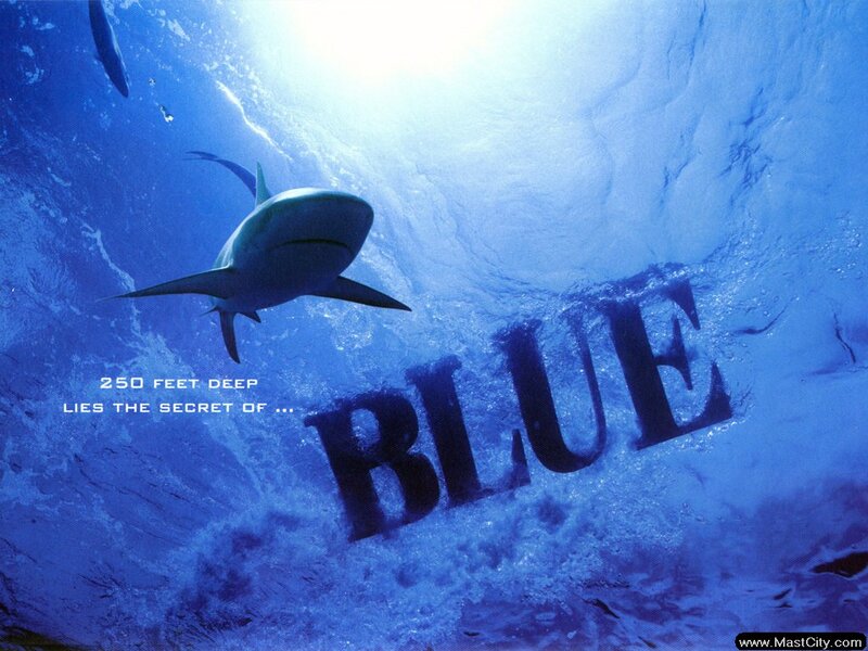 Shark Underwater