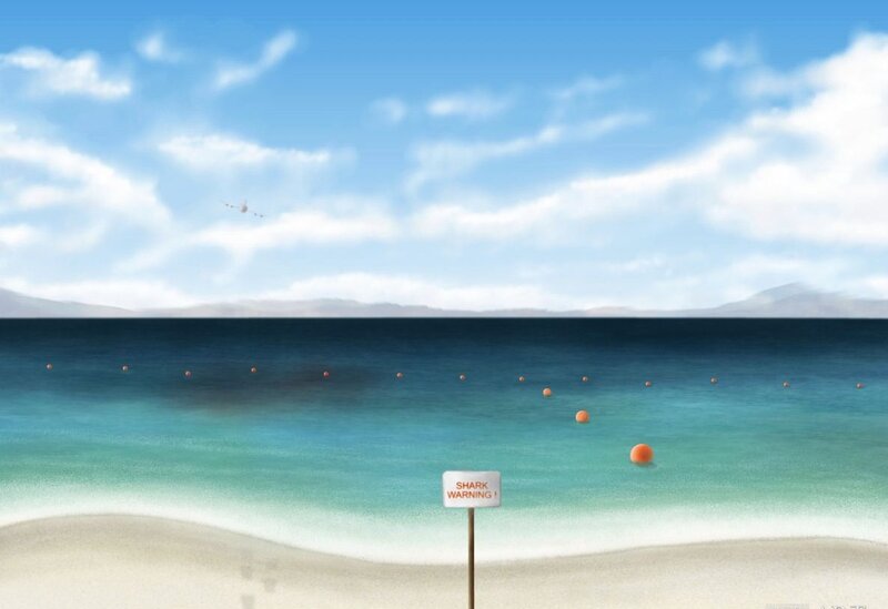 Shark warning at beach