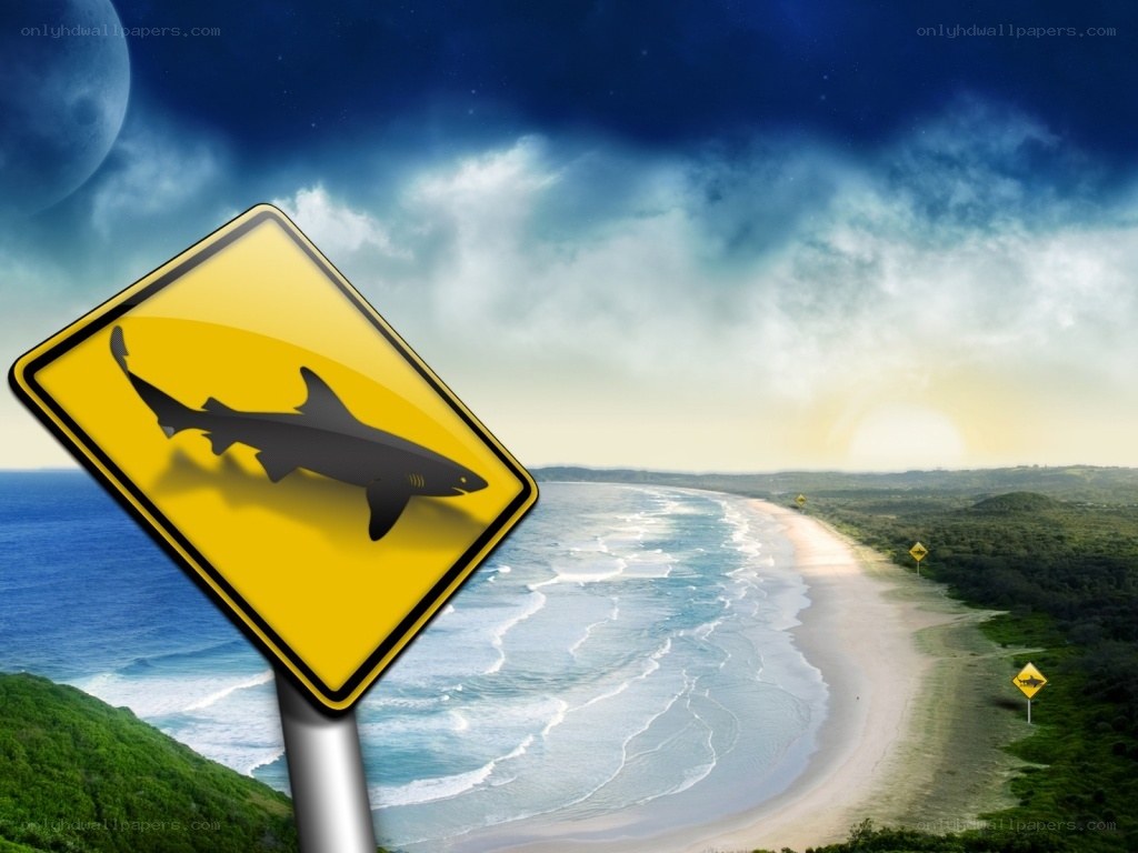 Shark warning sign at beach
