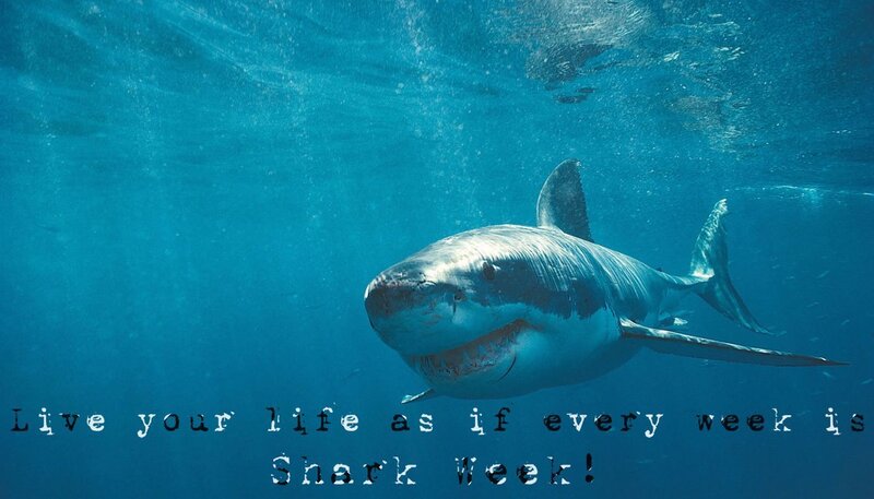 Shark Week motivation
