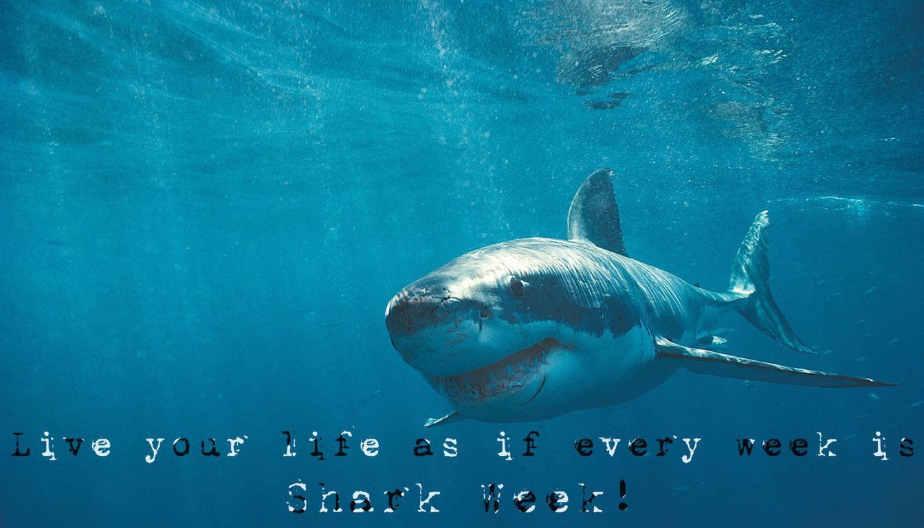 Shark Week motivation