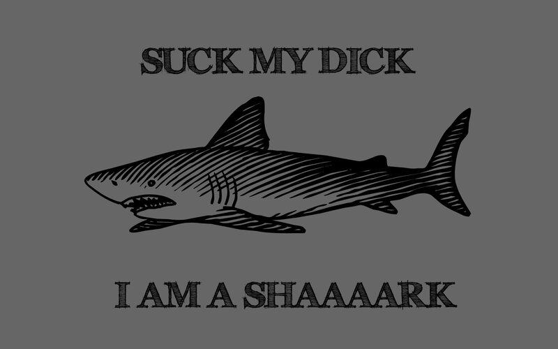 shark with bold text