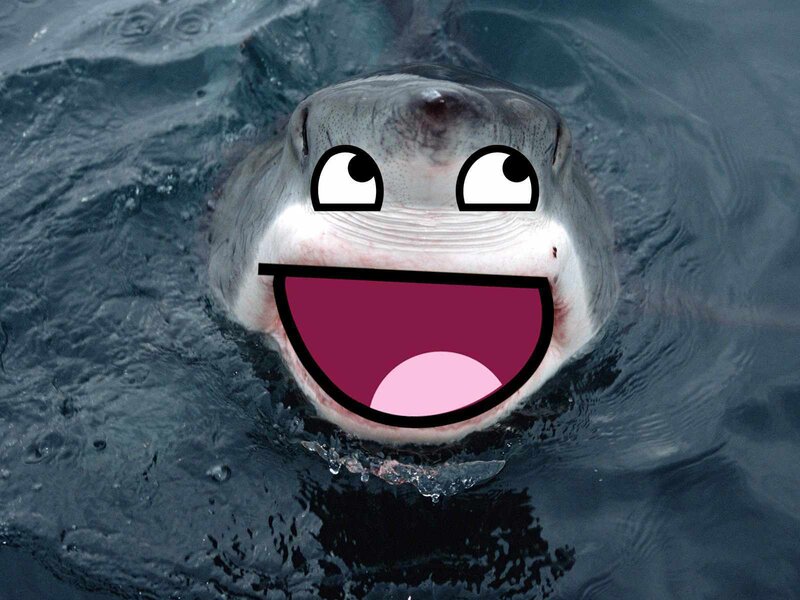 Shark with Cartoon Face
