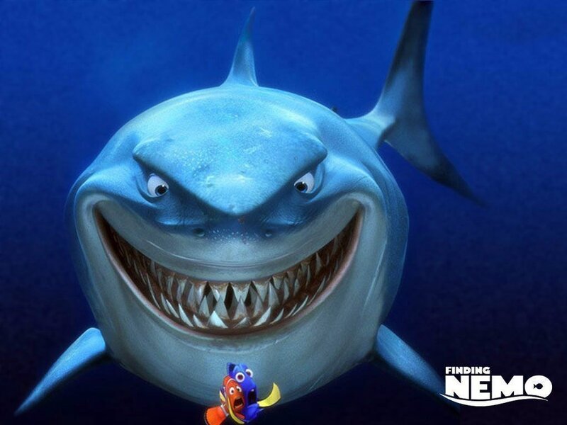 Shark with fish in Finding Nemo