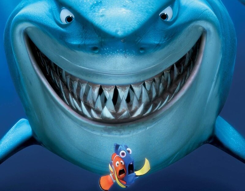 Shark with fish in mouth