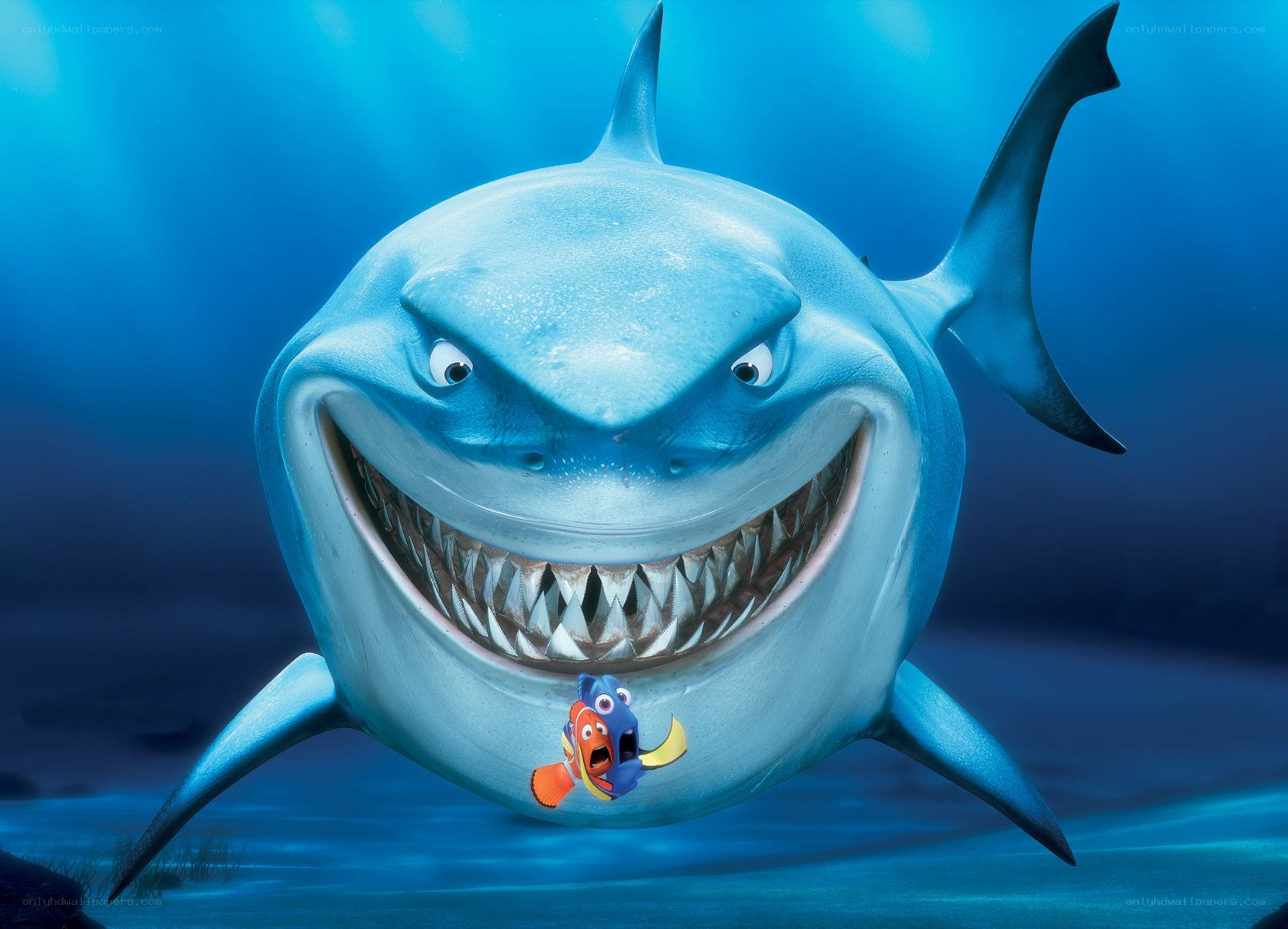 Shark with fish in mouth